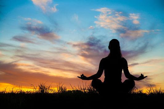 Discovering the Power of Meditation: A Himalayan Journey